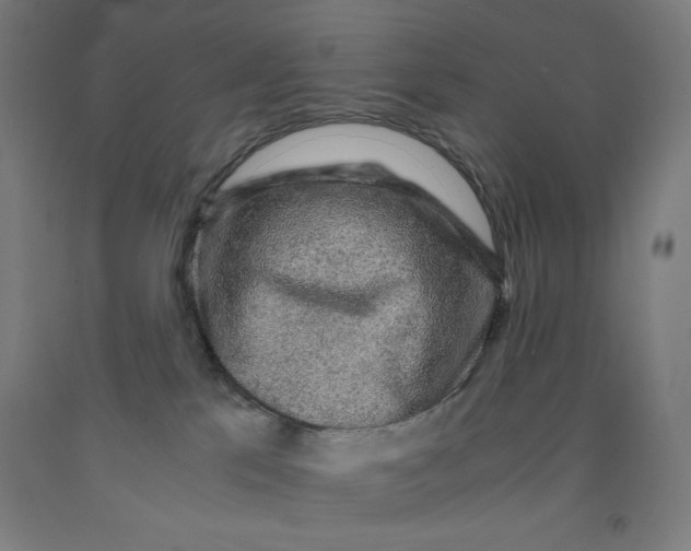 X0000091860041200709261303