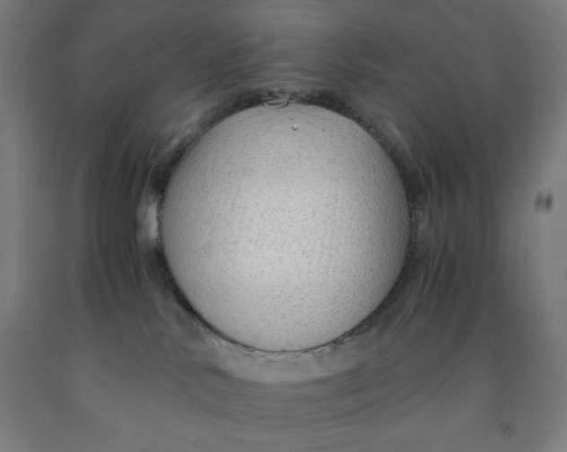 X0000091860042200709261303