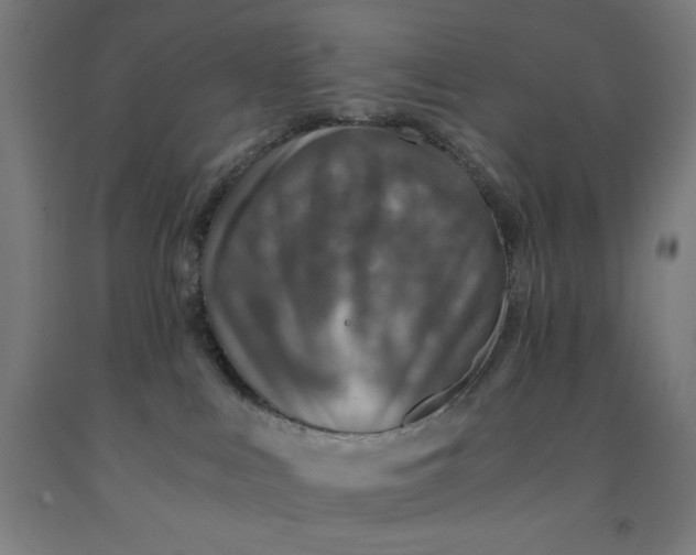 X0000091860043200709261303