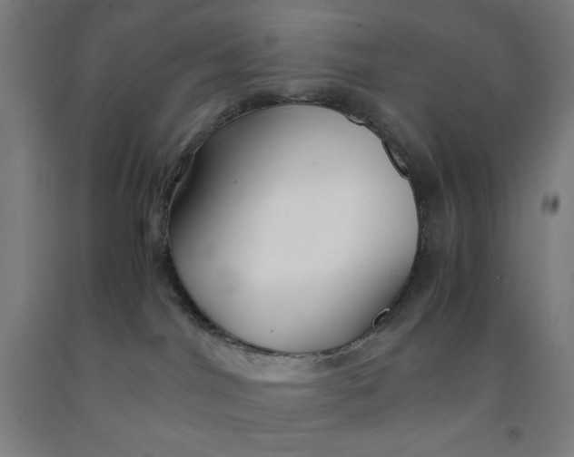 X0000091860044200709261303