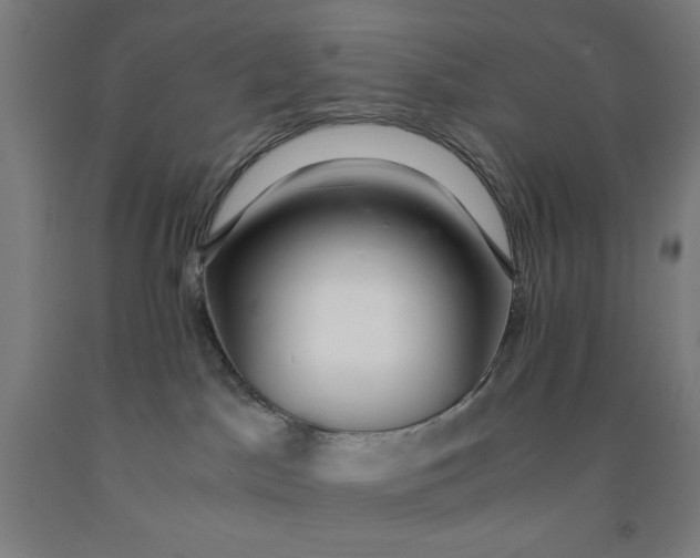 X0000091860045200709261303