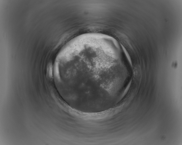 X0000091860046200709261303