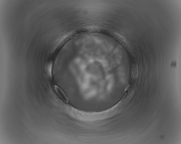 X0000091860047200709261303