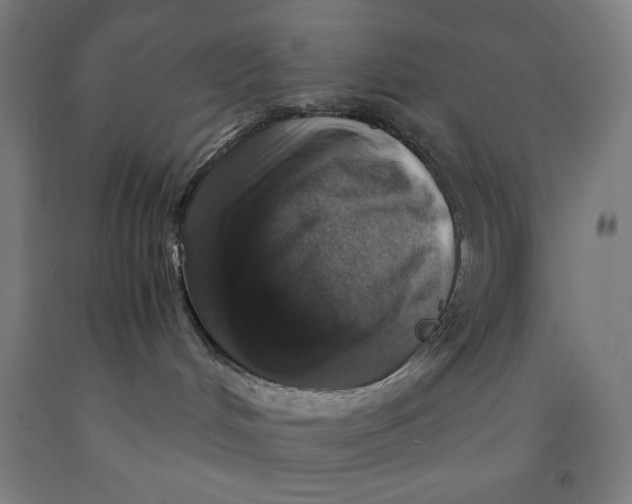 X0000091860048200709261303