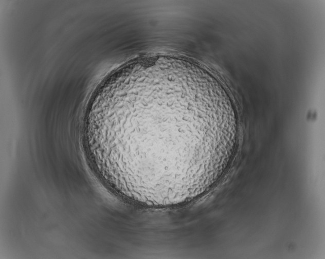 X0000091860049200709261303