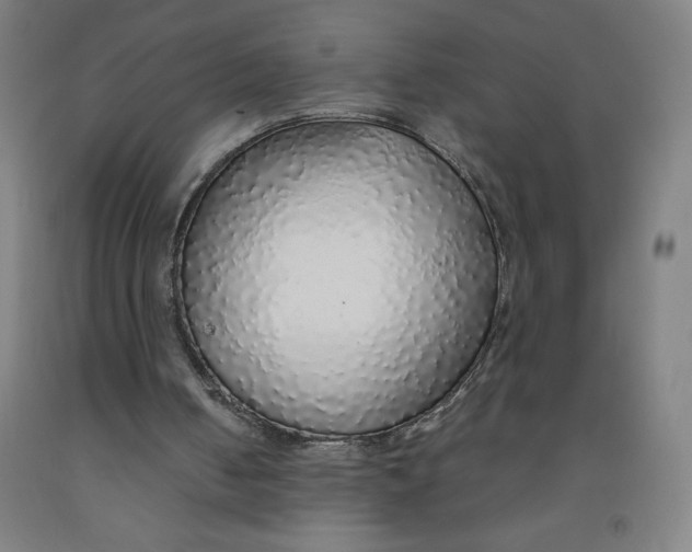 X0000091860050200709261303