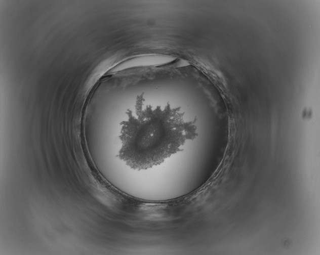 X0000091860051200709261303