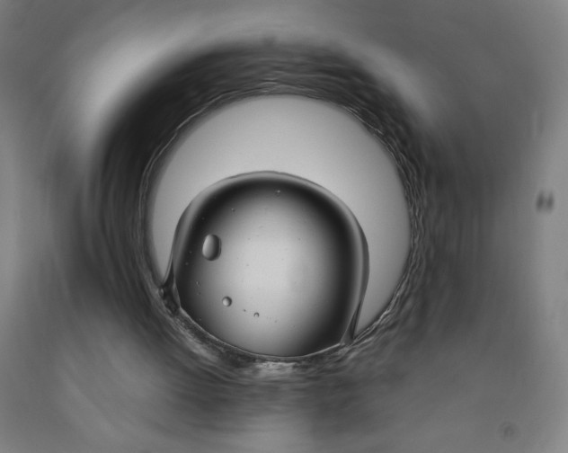 X0000091860052200709261303