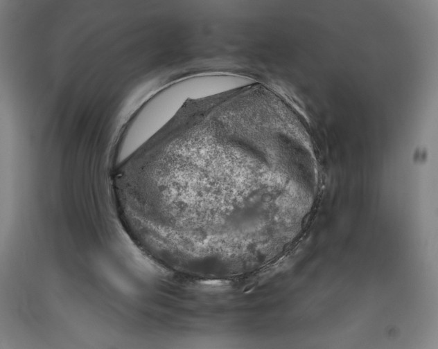 X0000091860053200709261303