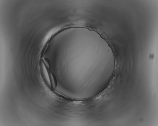 X0000091860054200709261303