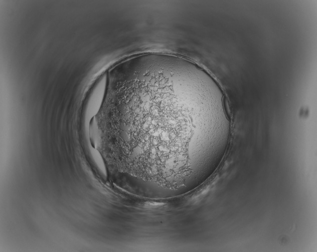 X0000091860055200709261303