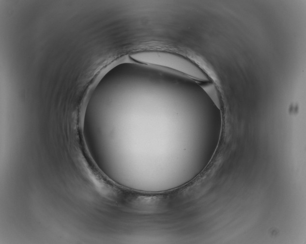 X0000091860057200709261303