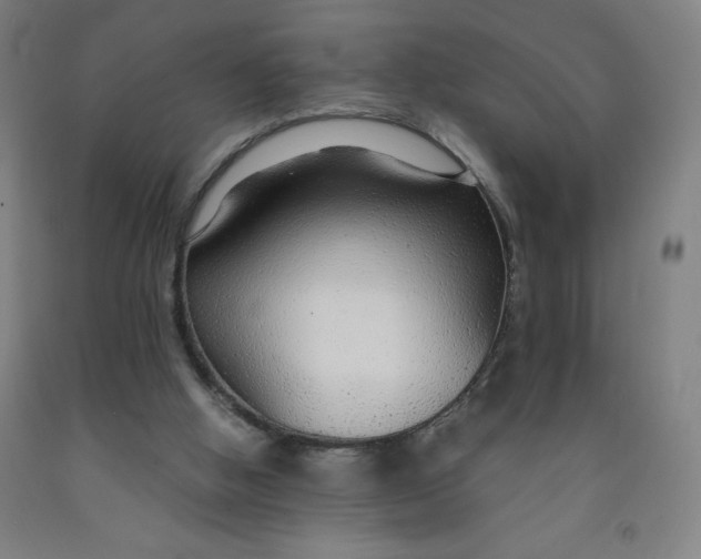 X0000091860058200709261303