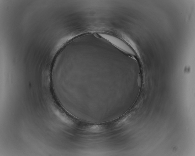 X0000091860059200709261303