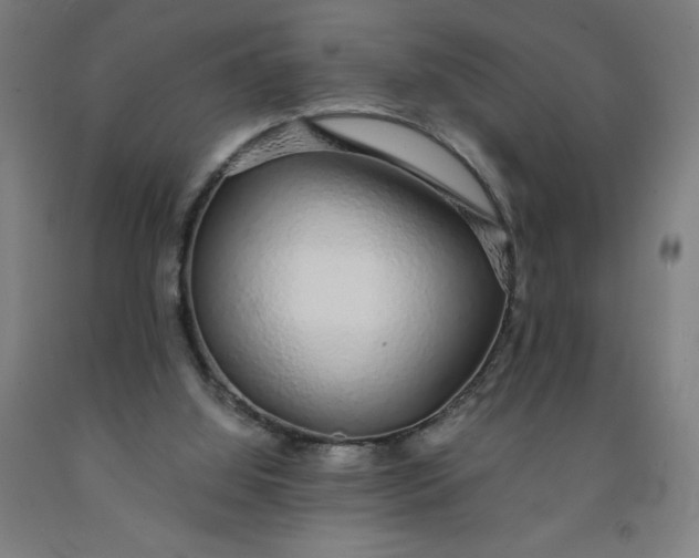 X0000091860060200709261303