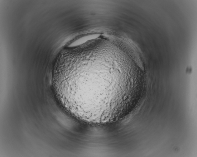 X0000091860062200709261303