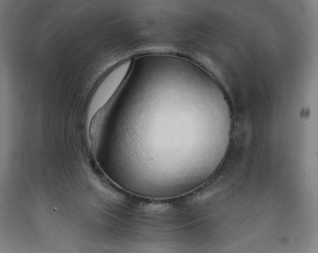 X0000091860063200709261303