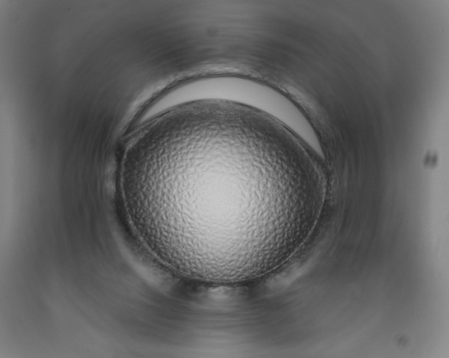 X0000091860064200709261303