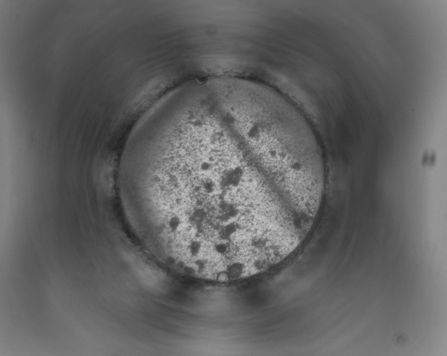 X0000091860065200709261303