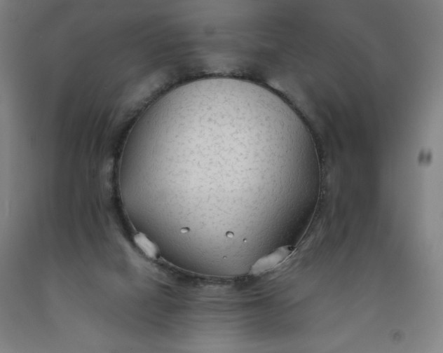 X0000091860066200709261303