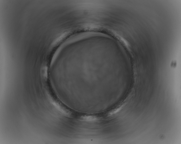 X0000091860067200709261303