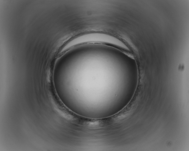 X0000091860068200709261303