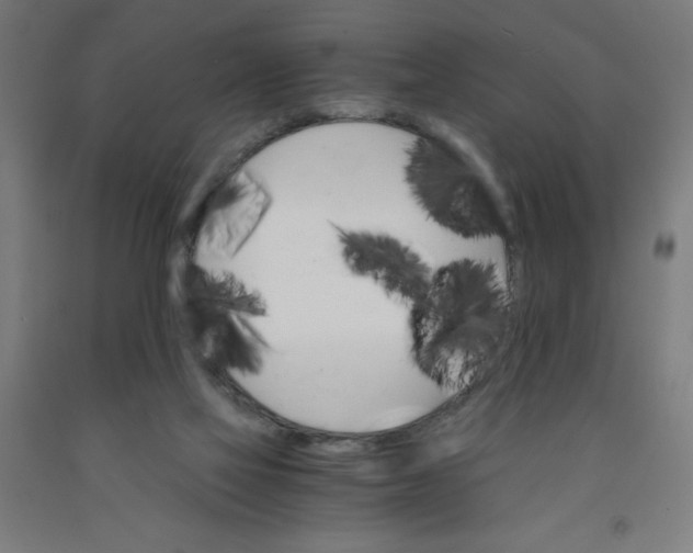 X0000091860069200709261303