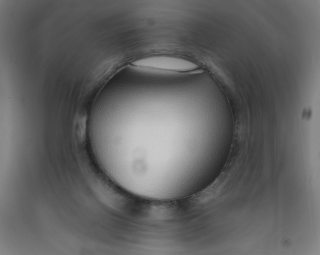 X0000091860070200709261303