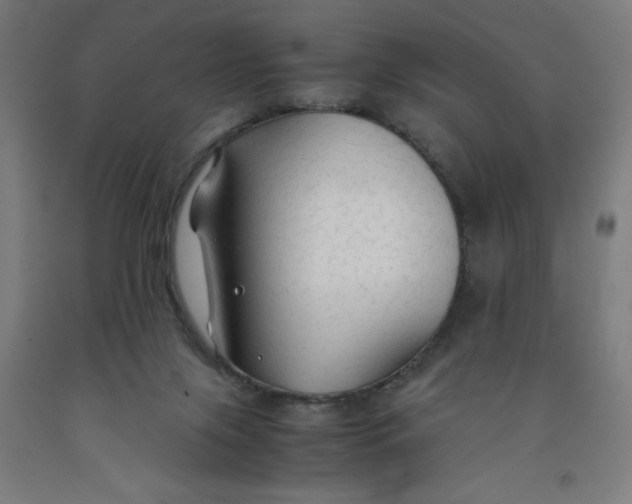 X0000091860071200709261303