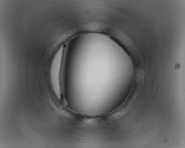 X0000091860072200709261303