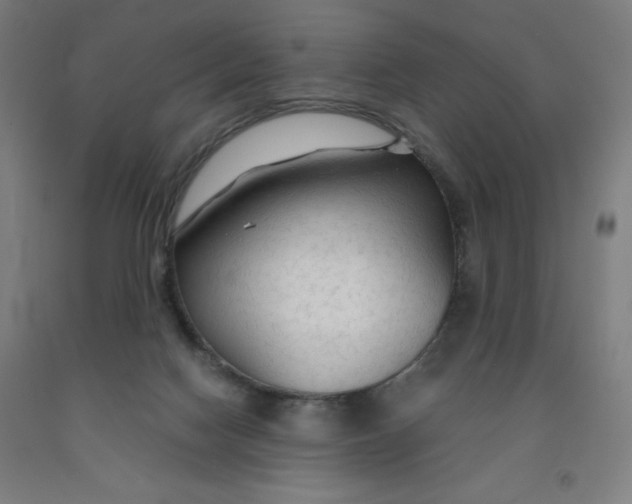 X0000091860074200709261303