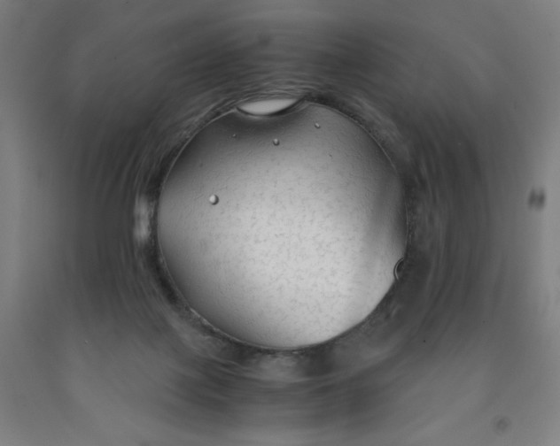 X0000091860075200709261303