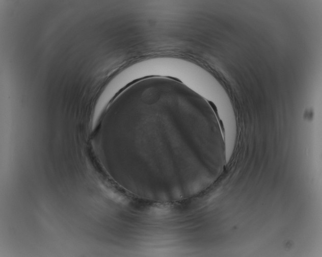 X0000091860076200709261303