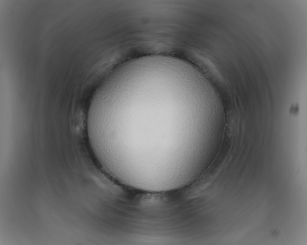 X0000091860077200709261303