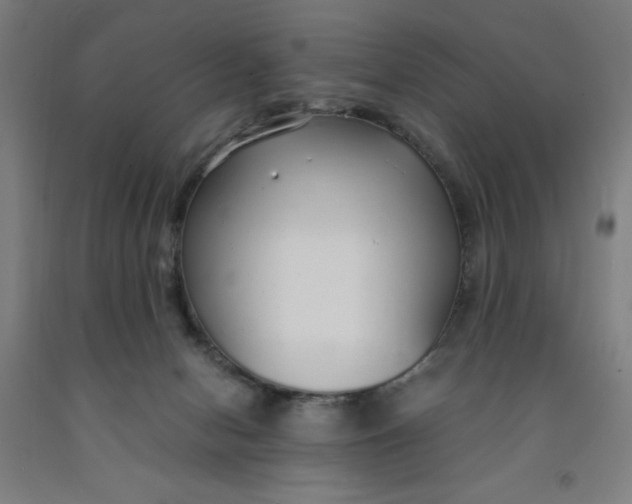 X0000091860078200709261303