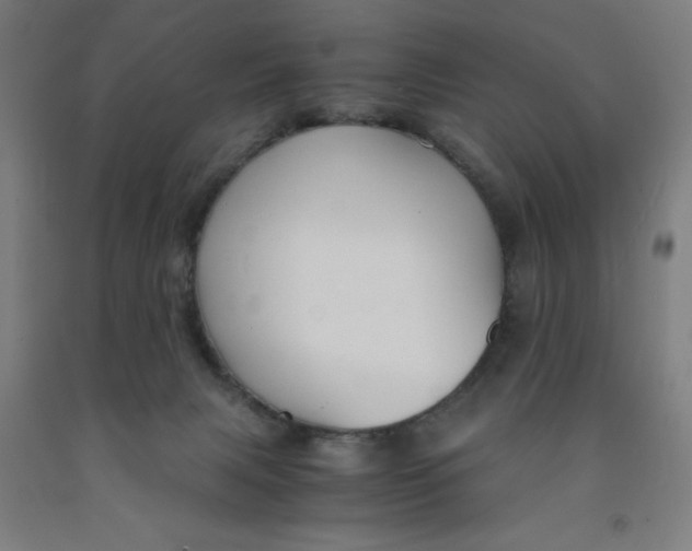 X0000091860079200709261303