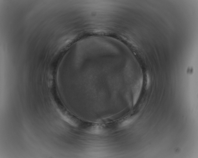 X0000091860080200709261303