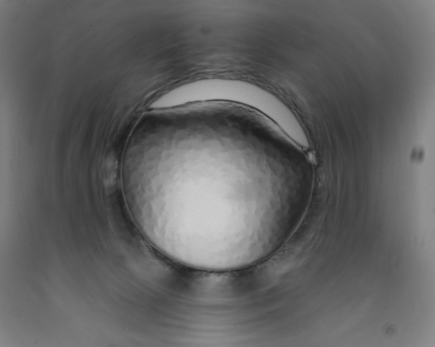 X0000091860081200709261303