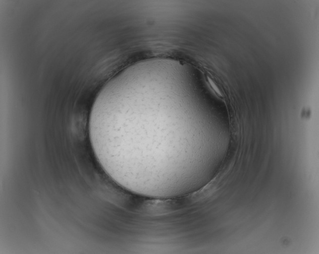 X0000091860082200709261303