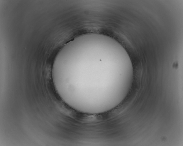 X0000091860083200709261303