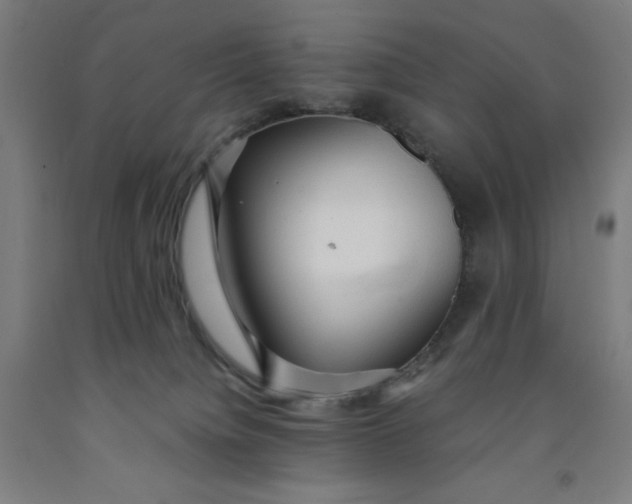 X0000091860084200709261303