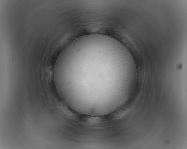 X0000091860085200709261303