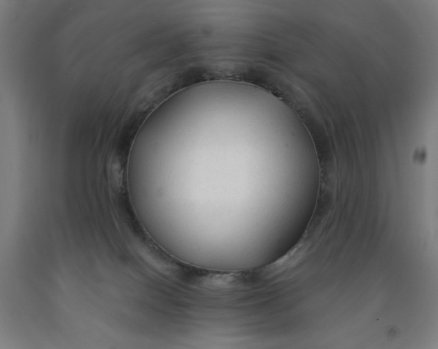 X0000091860086200709261303