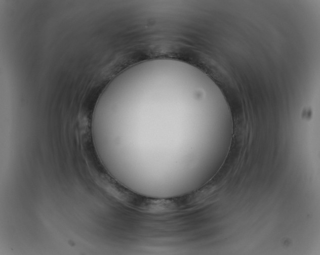 X0000091860087200709261303