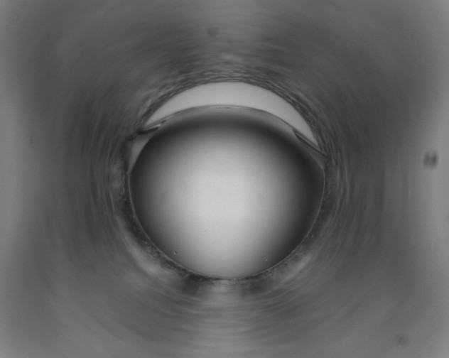 X0000091860088200709261303