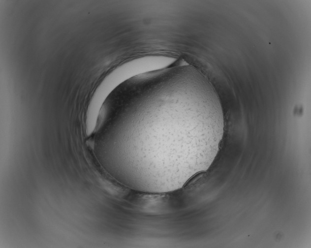 X0000091860089200709261303