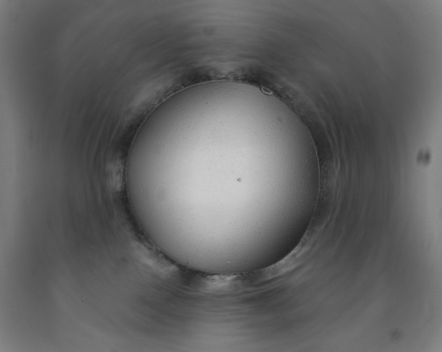 X0000091860090200709261303