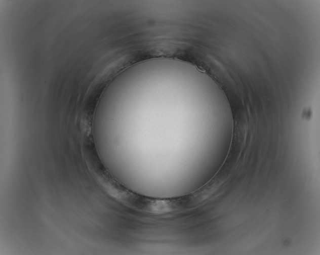 X0000091860091200709261303