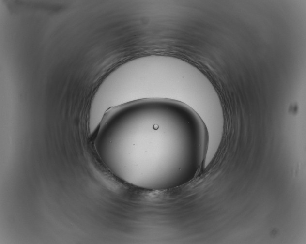 X0000091860092200709261303