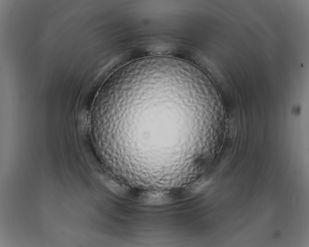 X0000091860093200709261303